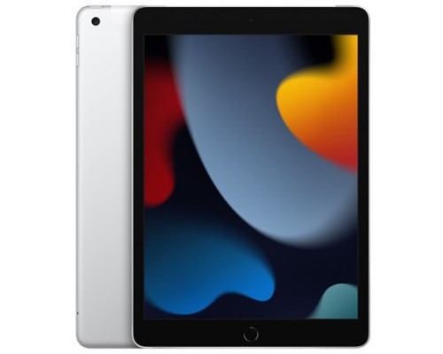 Apple iPad 10.2-inch 2021 Wi-Fi 256GB - Silver MK2P3ZP/A
