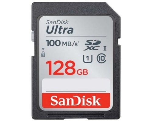 SecureDigital 128GB SanDisk SDHC Class10 (SDSDUNR-128G-GN3IN)