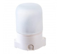 ЭРА Б0048030 Светильник НББ 01-60-001 для бани пластик/стекло прямой IP65 E27 max 60Вт 135х105х84 белый