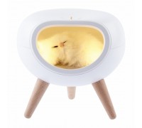ЭРА Б0052814 Ночник - светильник светодиодный NLED-467-1W-W котик белый